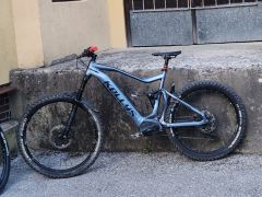 Kellys Theos i50
