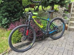 Bergamont Revox Sport Carbon L