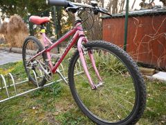 Predám neuveriteľné štýlový oceľový Checker Pig CPX 3050