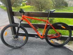 Cannondale Trail 29 6 2021
