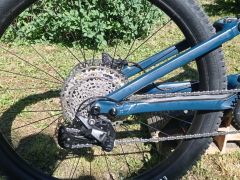 Stumpjumper 15 alloy