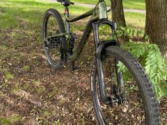 Giant Reign 2020 L 29