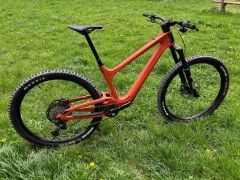 Bold Linkin 150 Pro