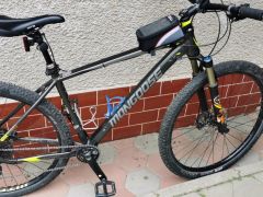 Mongoose  tyax expert_L_1x11
