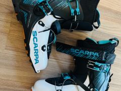 Predam Scarpa Maestrale RS 305mm