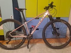 Author Ultrasonic 14' 27,5