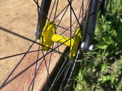 Aventon Fixie/singlespeed bike