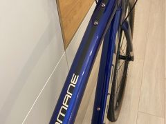 Trek Domane AL 2 Disc