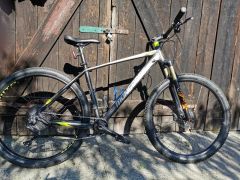 Mongoose  tyax expert_L_1x11