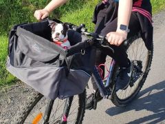 Košík (taška) na bicykel pre psa, zn. Trixie