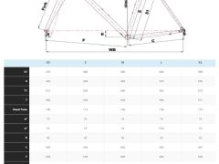 Cinelli vigorelli disc M