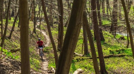 Celoodpružen&eacute; bicykle do 3 000 &euro; - rozumn&aacute; v&yacute;bava za rozumn&yacute; peniaz