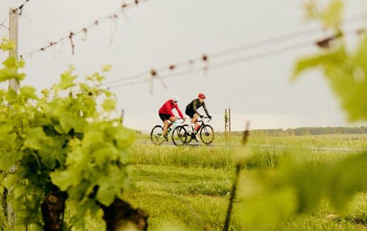 Road Classics Pálava: Uzavřené silnice v nádherné krajině vinic