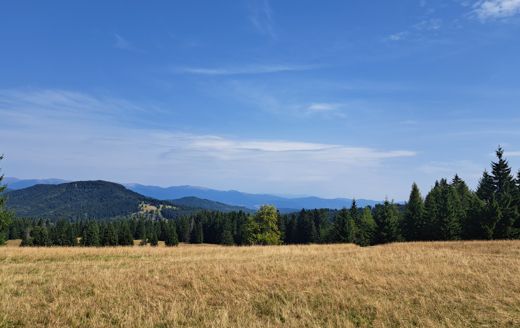 Ľubietovsk&yacute; Vepor a Hrb - v&yacute;let pln&yacute; v&yacute;hľadov, hist&oacute;rie a smiechu