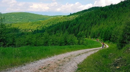Reportáž: STEFE MTB maratón Levočské vrchy – víkend plný zážitkov na východe
