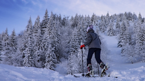 Som skialpinista alebo skiturista?