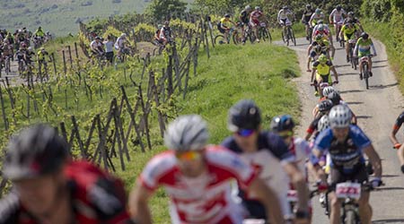 Pozvánka: ŠKODA Svätojurský MTB maratón - odštartujte sezónu vo vinohradníckom mestečku