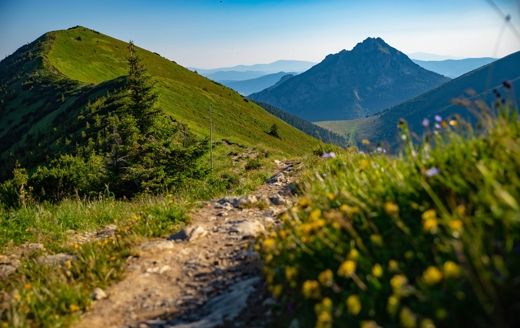 Ako na turistiku: ako sa spr&aacute;vať v chr&aacute;nen&yacute;ch &uacute;zemiach?