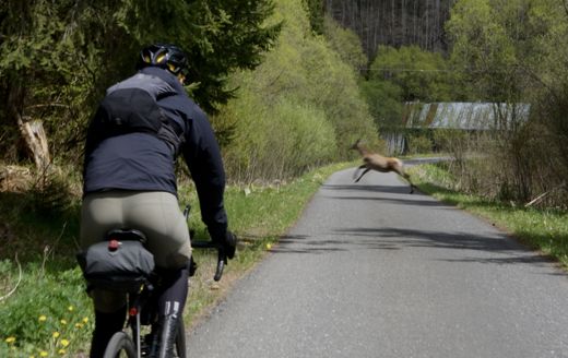 Tri dni, dve noci, jeden zadok: Race Through Slovakia na vlastnej koži