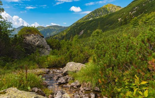 Ako na turistiku: Ochrana pred slnečn&yacute;m žiaren&iacute;m