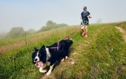 Reportáž: Dogtrekking Fatranský Vĺčko – beh veľkofatranskou divočinou