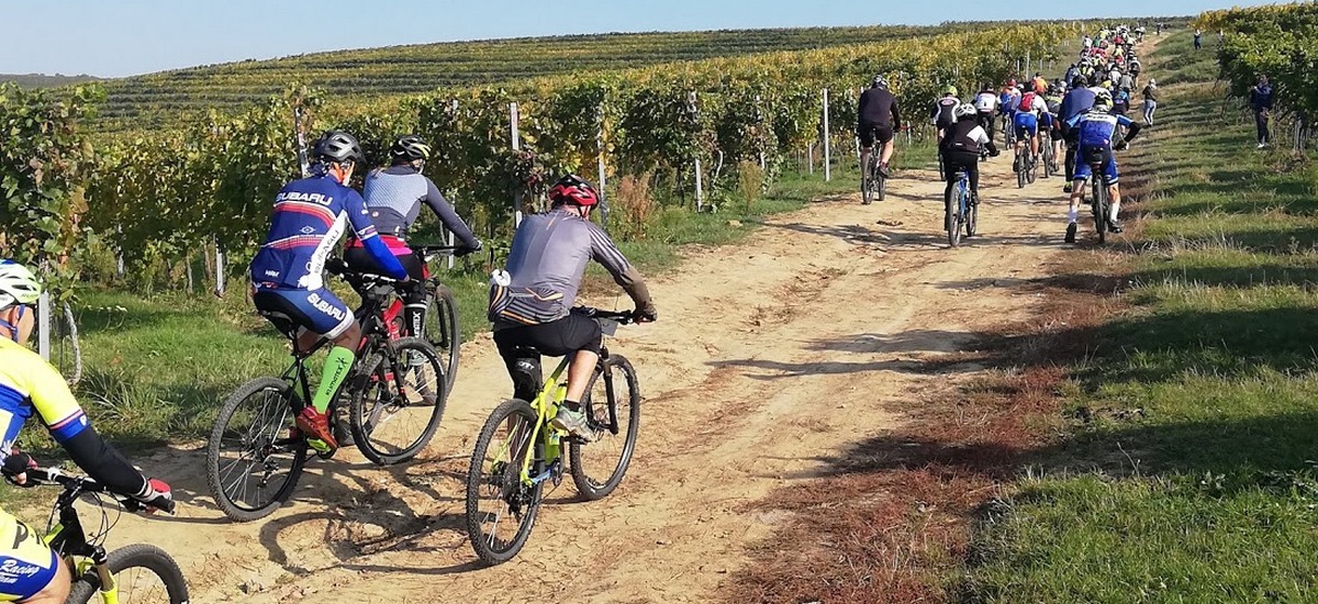 Report&aacute;ž: Baynach MTB Marathon &ndash; cyklistika uprostred vin&iacute;c