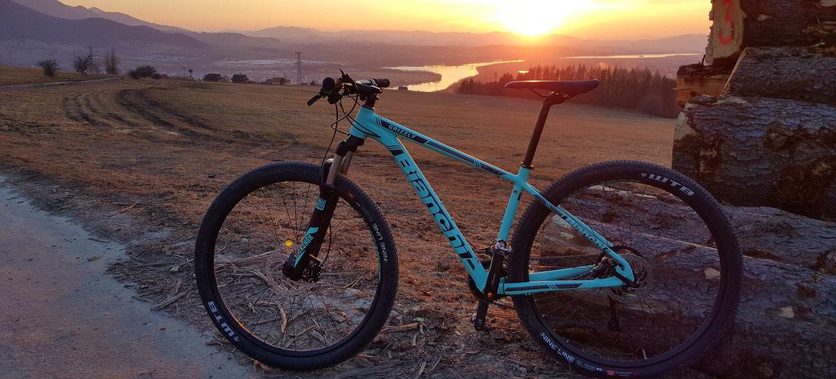 bianchi grizzly 29.2