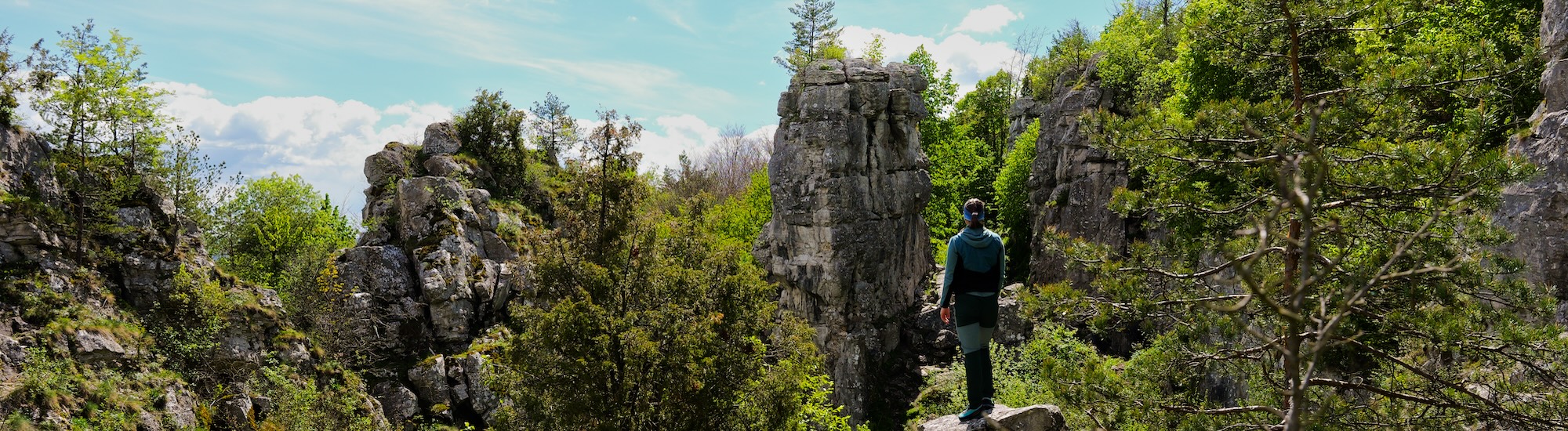 Kamenn&yacute; unik&aacute;t na Spi&scaron;i - Dreven&iacute;k a Spi&scaron;sk&yacute; hrad 