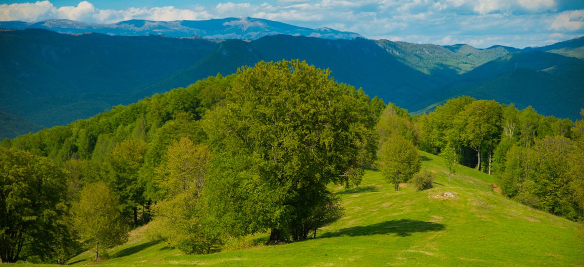 Nepoznanou magistrálou – Cesta Márie Széchy – 1. časť