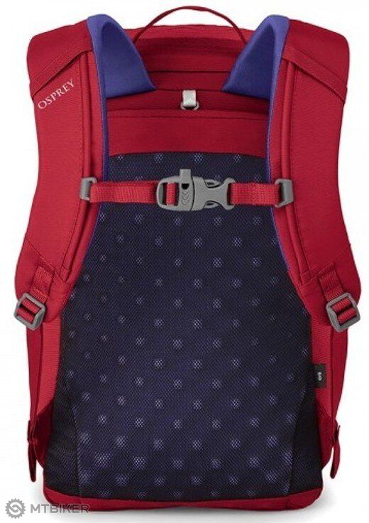 incompleet tekort Verwant Osprey JET 12 II children's backpack, cosmic red - MTBIKER.shop