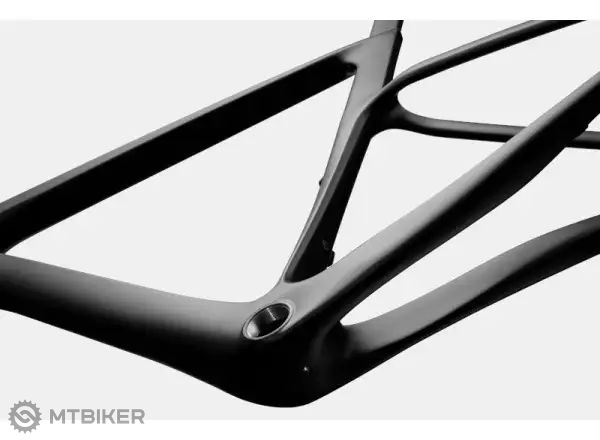 Raw carbon bike discount frame