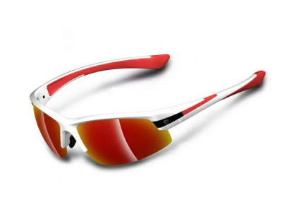 Glasses Briko Darwin 2 Lenses