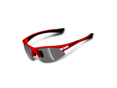 Glasses Briko Darwin 2 Lenses