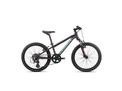 Orbea MX 20 XC, model 2020