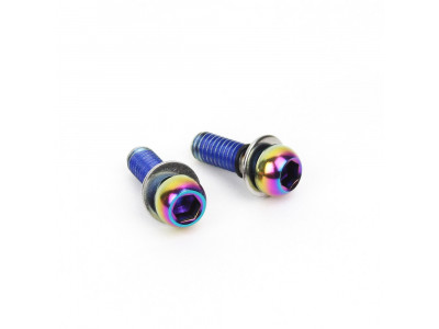 Sram Rainbow caliper screws