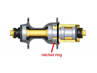 Novatec ratchet ring