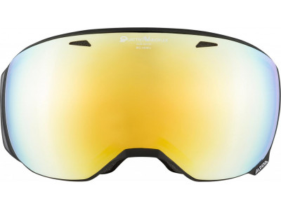 ALPINA BIG HORN QVM Ski goggles black matte, gold sph