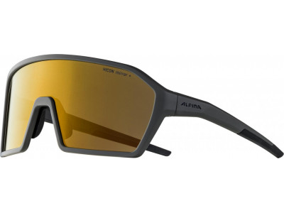 Alpina RAM HM + cycling glasses, coffee gray