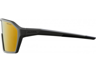 Alpina RAM HM+ cyklistické brýle, kávově šedá