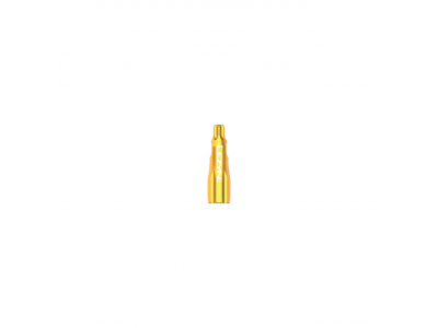 Lezyne CNC TLR valve cap, gold