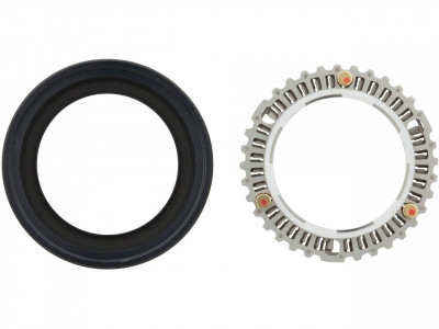 Zipp replacement clutch and seal for Zipp Cognition NSW rear hub