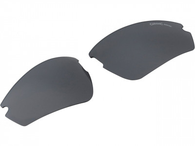 ALPINA Tri-Effect 2.0 CC Ersatzbrille, schwarz