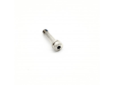 Lapierre lower shock absorber mounting bolt, for XR Carbon