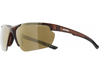 ALPINA kerékpár szemüveg DEFEY HR barna transzparens, lencsék: arany tükör
