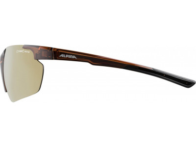ALPINA Cycling glasses DEFEY HR brown transparent, glass: gold mirror