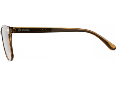 ALPINA glasses Yefe brown transparent, brown glasses