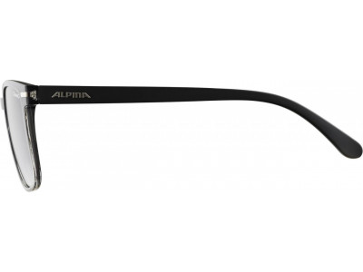 ALPINA glasses Yefe black, black tinted lenses