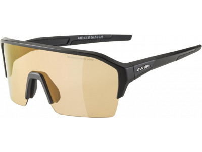 ALPINA Cycling glasses RAM HR HVLM + black matt