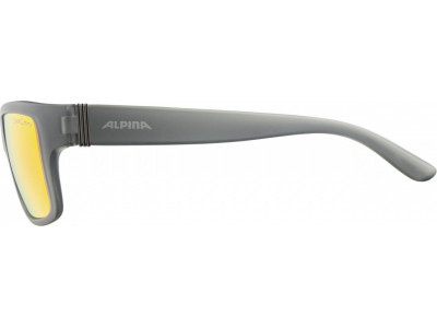 ALPINA KACEY glasses, charcoal gray