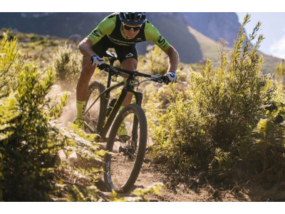 Cannodnale LEFTY OCHO ALLOY DEFAULT OPEN 29 &quot;100 mm sprung fork